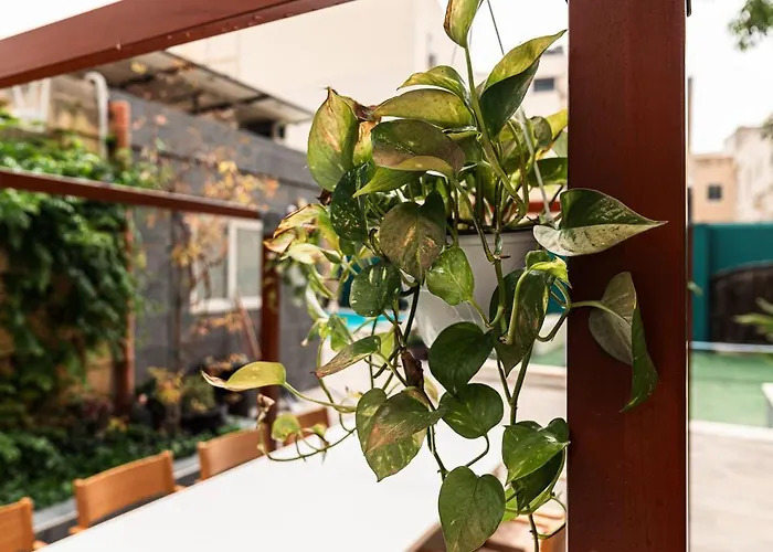 Gæstehus 6 At Palazzo Seraphim Boutique Living In St Julians Saint Julian's